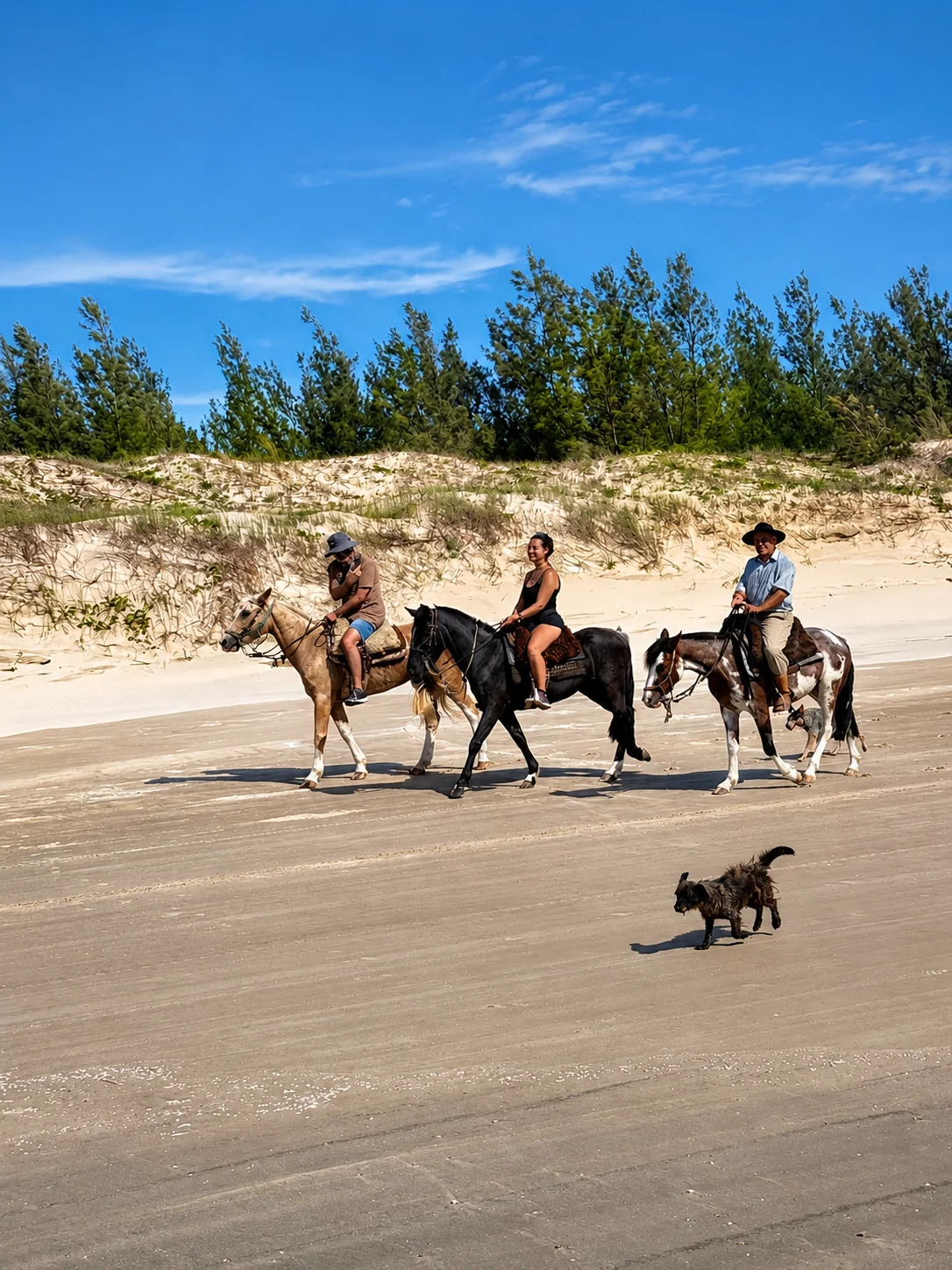 Cavalgada na Areia
