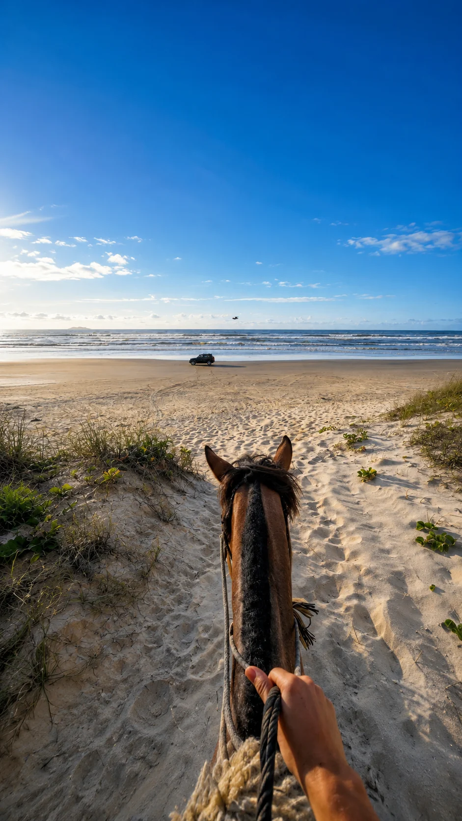 Passeio na Praia